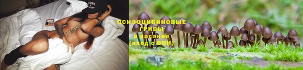мяу мяу мука Майский