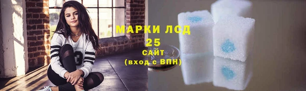 прущий лед Липки