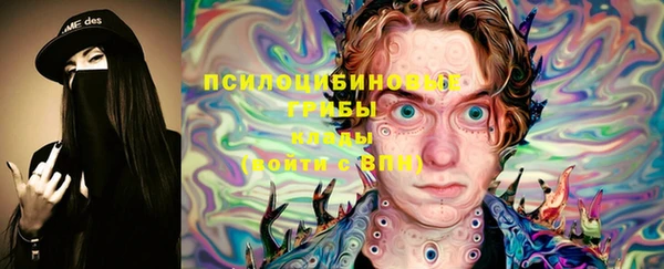 ГАЛЛЮЦИНОГЕННЫЕ ГРИБЫ Магадан