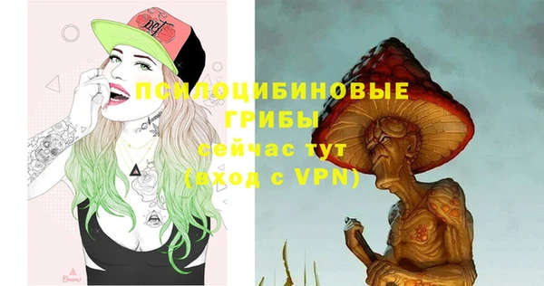 прущий лед Липки