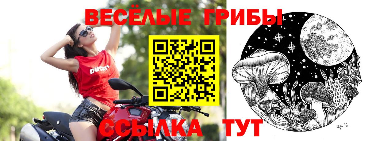 Псилоцибиновые грибы мухоморы  Галлюциногенные грибы прущие грибы  Малоярославец  продажа наркотиков  Вход с VPN 